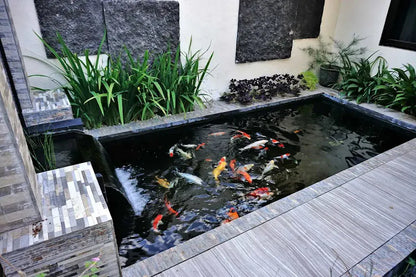 Apex Fiberglass Pond Kits - Double Layer 450g Matting in 4 Stunning Colors for Long-Lasting Beauty Fibre Glass Pond Kits
