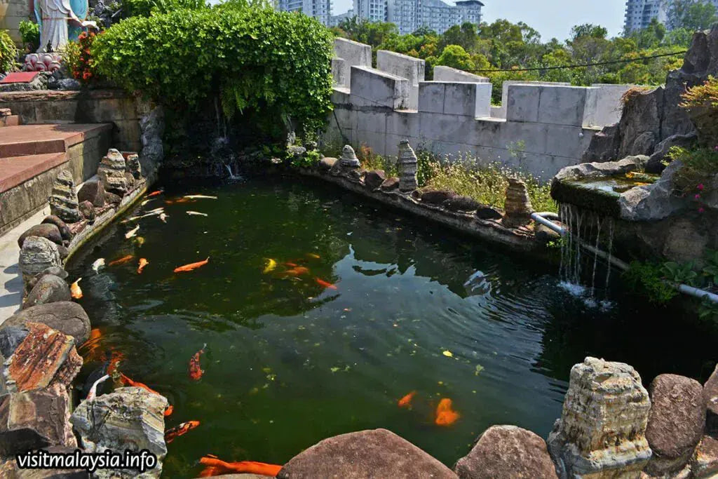 Apex Fiberglass Pond Kits - Double Layer 450g Matting in 4 Stunning Colors for Long-Lasting Beauty Fibre Glass Pond Kits