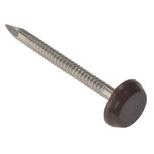 Load image into Gallery viewer, Forgefix Heavy Duty Cladding Nails (Box of 100) - Full Range Stainless Steel/Brown Head / 40mm Timber Nails
